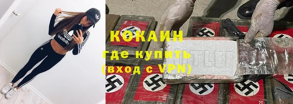 мескалин Бородино