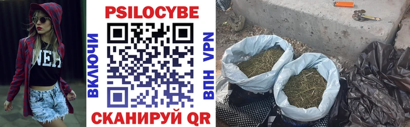Галлюциногенные грибы Psilocybine cubensis  цены   мега ссылки  Курск 