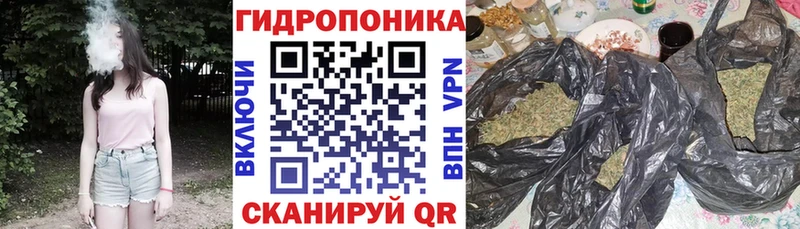 Шишки марихуана THC 21%  что такое наркотик  Курск 